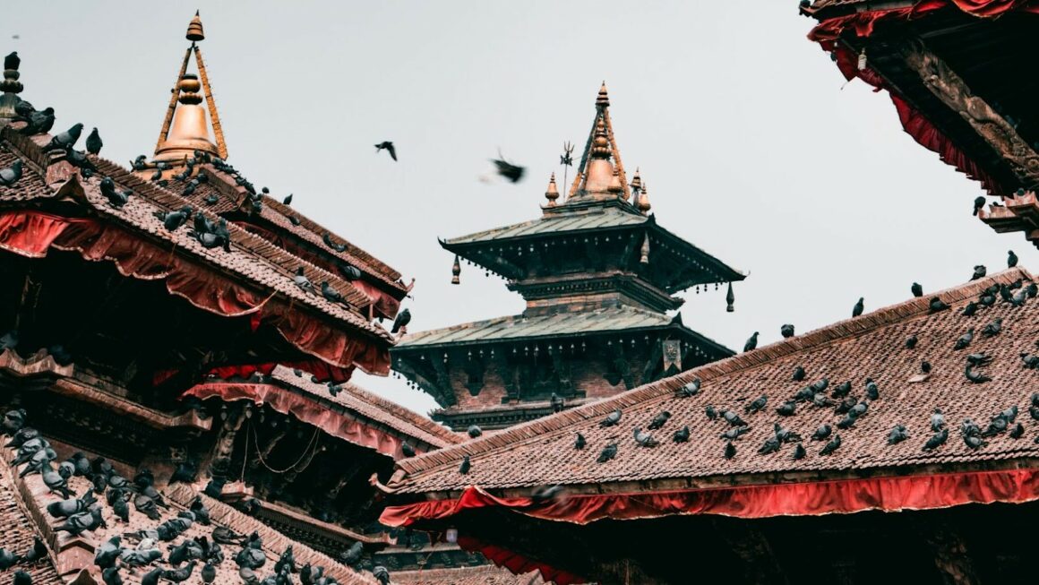 Crazyjamjam The Ultimate Guide To Understanding The Phenomenon Crazyjamjam The Ultimate Guide To Understanding The Phenomenon