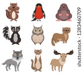 Cute Little Gerbil Free Stock Photo Public Domain Pictures