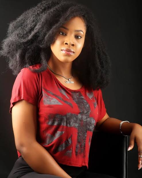 Noah Okafor Biography Wiki Height Age Net Worth And More