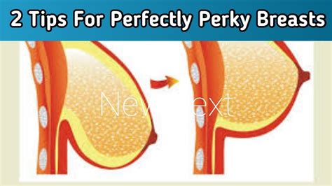 Your Guide To Perkier Breasts The Breast Lift Revolution Perfect Your Guide To Perkier Breasts The Breast Lift Revolution Perfect
